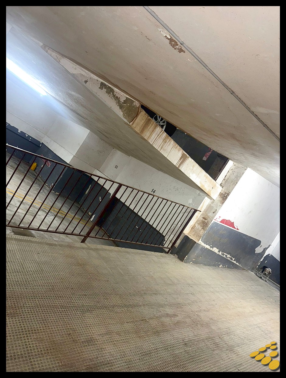 Pintura de cajas de escalera y paramentos comunes tras DANA en finca de Picassent